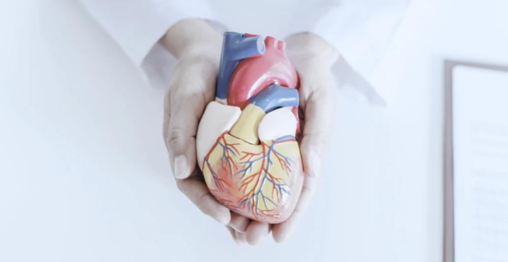 Инфаркт миокарда: причины, диагностика и лечение